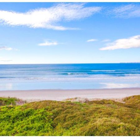 Cabbage Tree - Summer Or Winter Beachfront Haven 帕帕莫阿 外观 照片