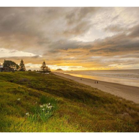 Cabbage Tree - Summer Or Winter Beachfront Haven 帕帕莫阿 外观 照片