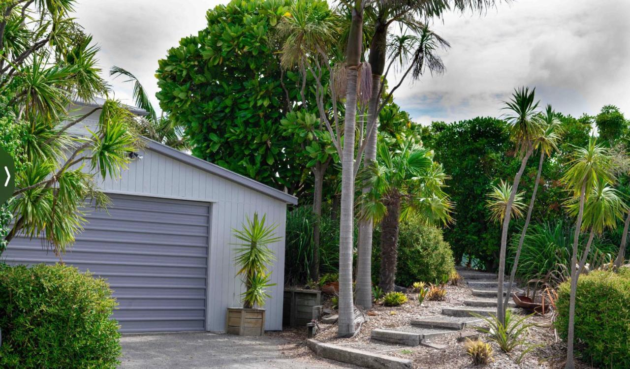 Cabbage Tree - Summer Or Winter Beachfront Haven 帕帕莫阿 外观 照片