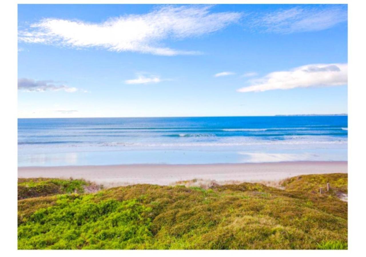 Cabbage Tree - Summer Or Winter Beachfront Haven 帕帕莫阿 外观 照片