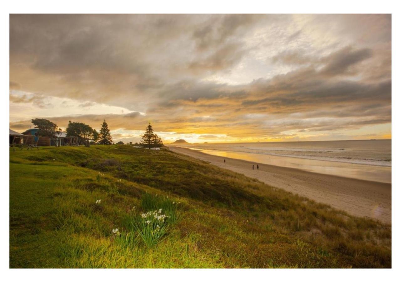 Cabbage Tree - Summer Or Winter Beachfront Haven 帕帕莫阿 外观 照片